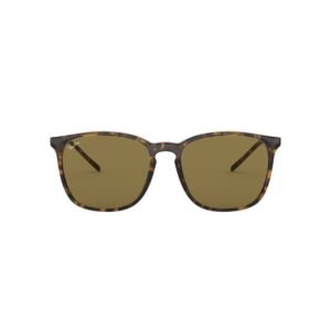 Anteojo de sol Ray-Ban 4387 710/73
