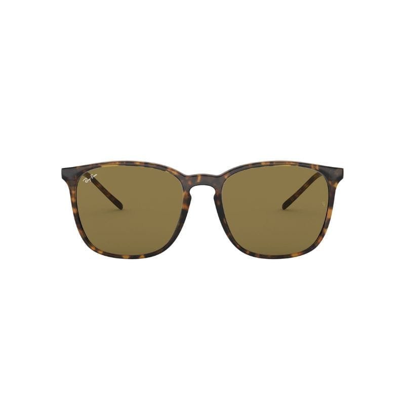 Anteojo de sol Ray-Ban 4387 710/73