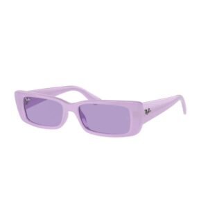 Anteojo de sol Ray-Ban Teru 4425 67581A