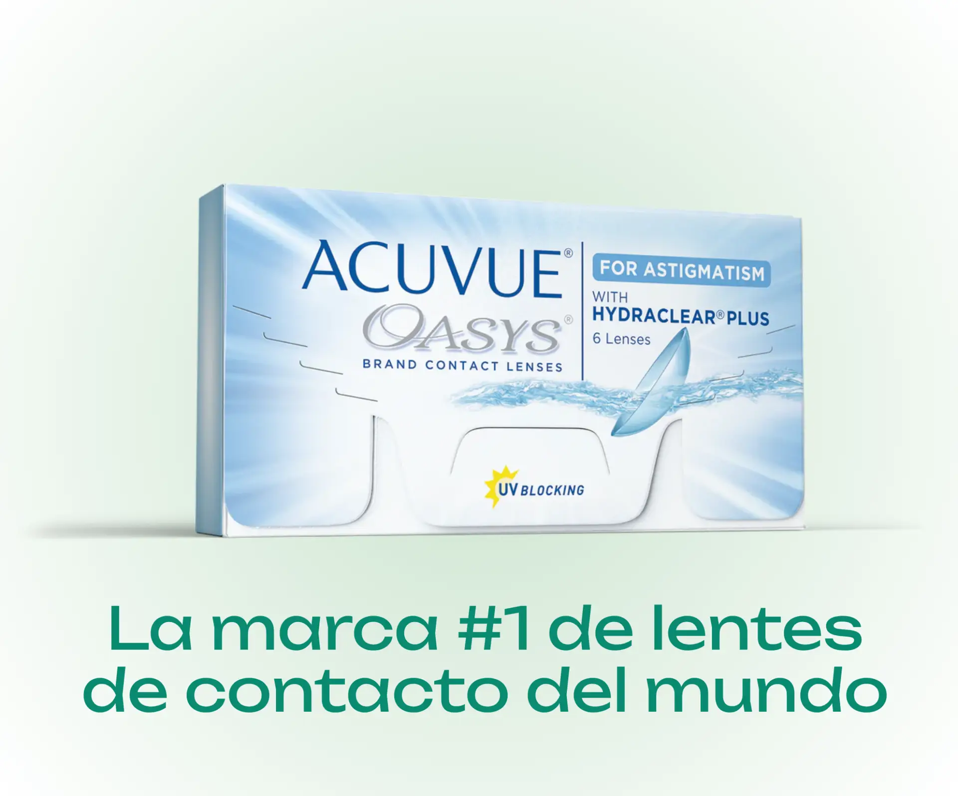 Banners web Lutz Nueva